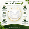 Set Fațete Dentare Cosmetice